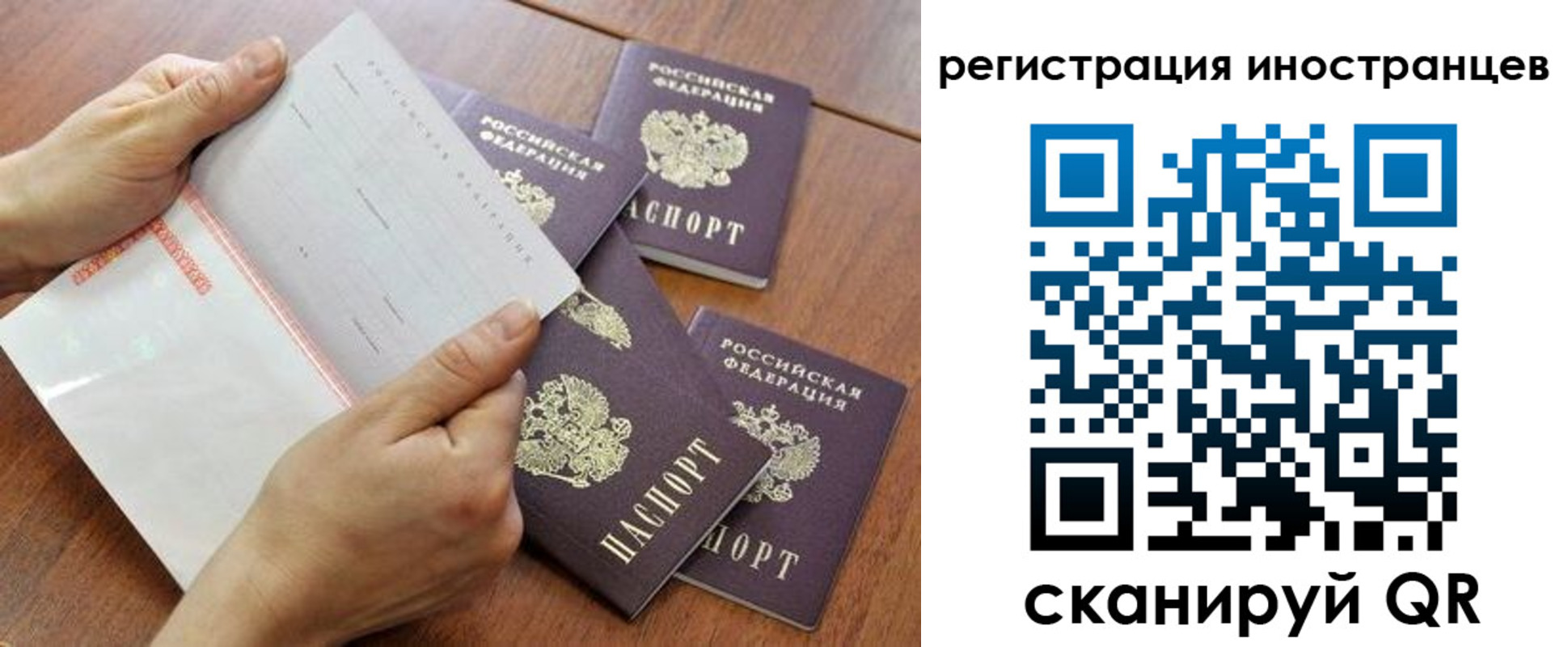 прописка поиск в Чехове